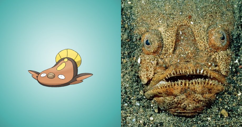 ポケモンは実在した ﾟdﾟ ポケモン のモデルになった生き物たち14選 もふもふちゃんねる