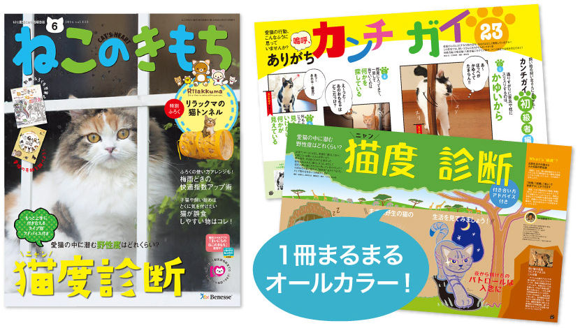 リラックマのねこトンネルおもちゃが付いてくる 猫も癒される豪華10点セット ねこのきもち 6月号 販売中ニャ もふもふちゃんねる