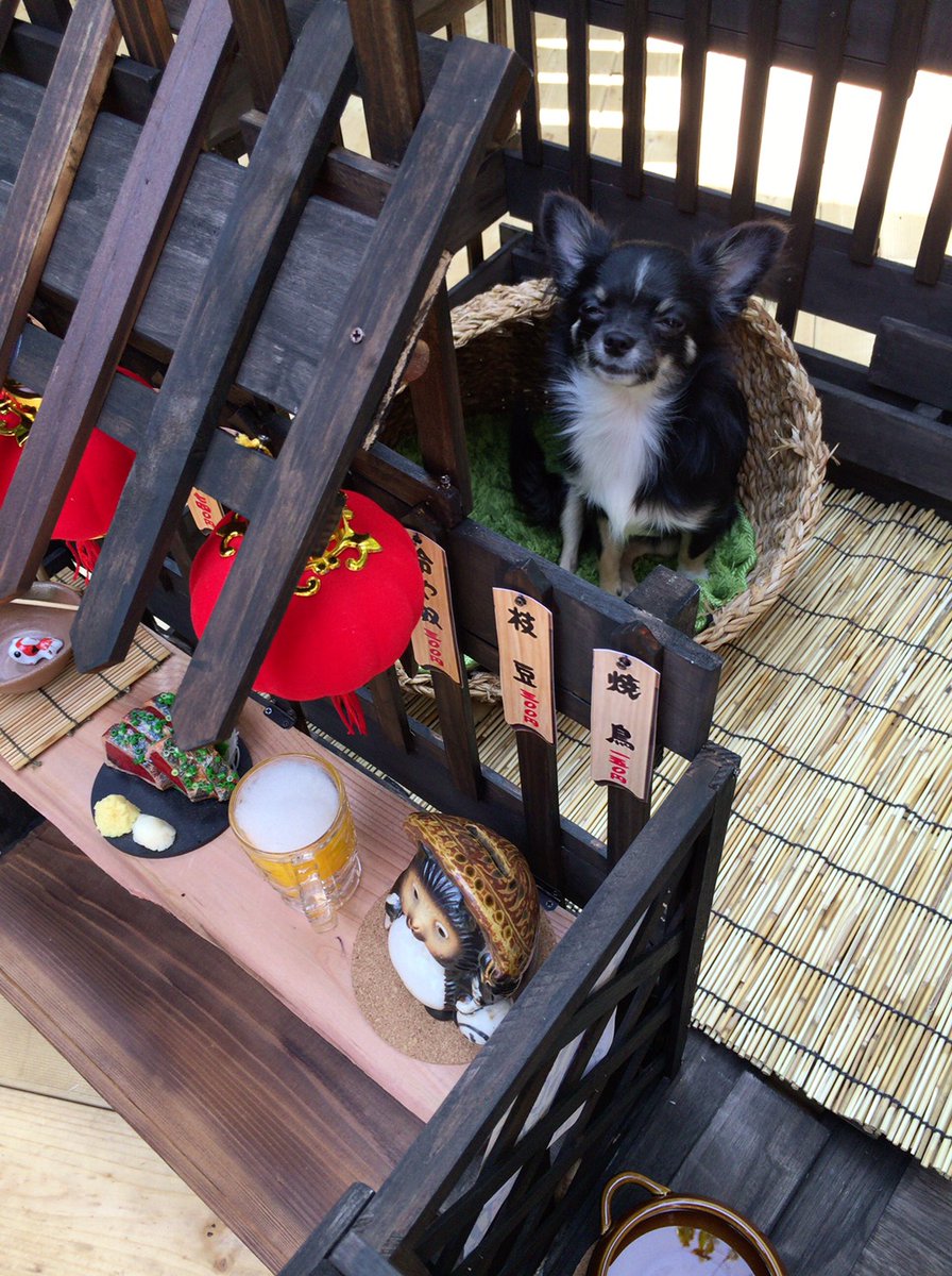 100均グッズでdiyした 居酒屋風犬小屋 の完成度がプロ級だとtwitterで話題に もふもふちゃんねる 100均グッズでdiyした 居酒屋風犬小屋 の完成度がプロ級だとtwitterで話題に もふもふちゃんねる