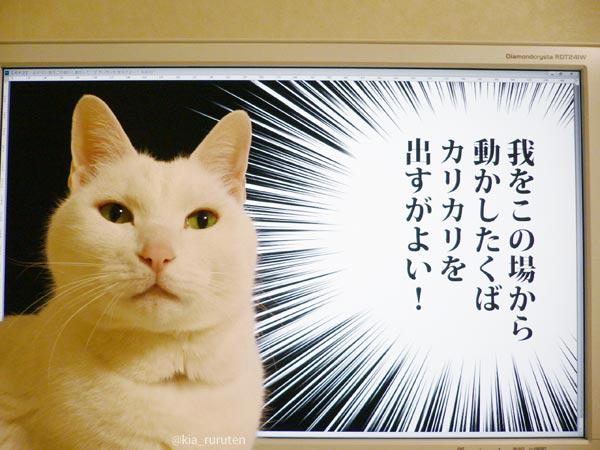 画像 Twitterに投稿された話題の かわいい おもしろい ネコ画像を集めてみた もふもふちゃんねる