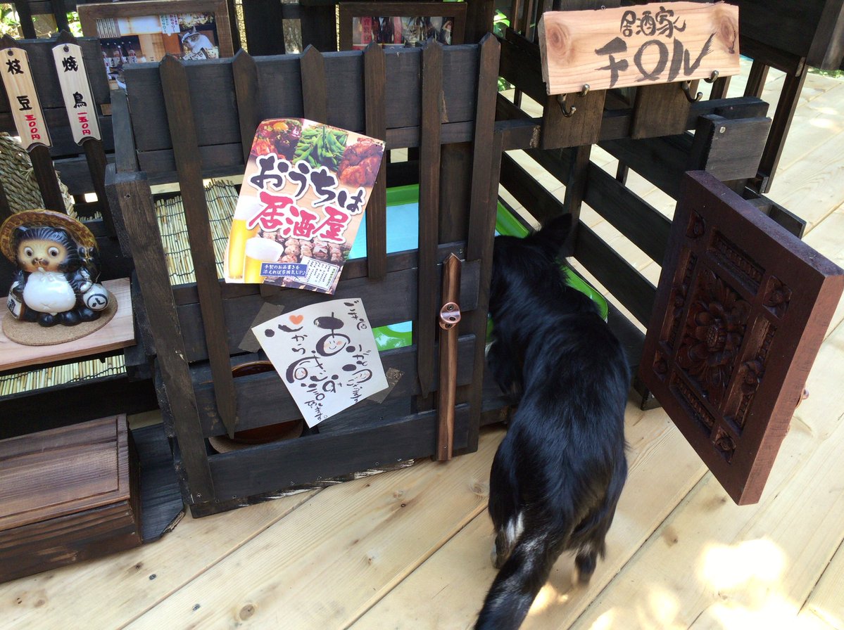 100均グッズでdiyした 居酒屋風犬小屋 の完成度がプロ級だとtwitterで話題に もふもふちゃんねる 100均グッズでdiyした 居酒屋風犬小屋 の完成度がプロ級だとtwitterで話題に もふもふちゃんねる