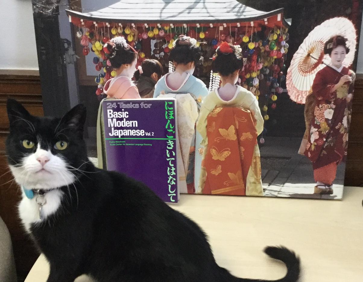 猫対決 英国外務省が採用したニャンコがついに首相官邸採用のニャンコと相まみえる もふもふちゃんねる 猫対決 英国外務省が採用したニャンコがついに首相官邸採用のニャンコと相まみえる もふもふちゃんねる