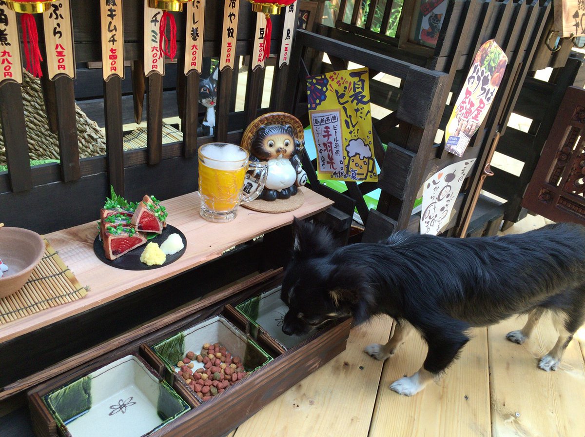 100均グッズでdiyした 居酒屋風犬小屋 の完成度がプロ級だとtwitterで話題に もふもふちゃんねる 100均グッズでdiyした 居酒屋風犬小屋 の完成度がプロ級だとtwitterで話題に もふもふちゃんねる
