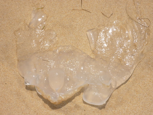 P1050244
