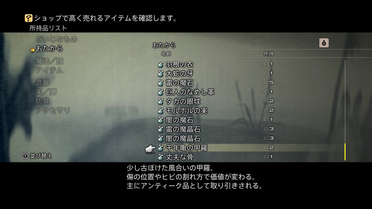 Ff12 もいくんのいろいろ日記