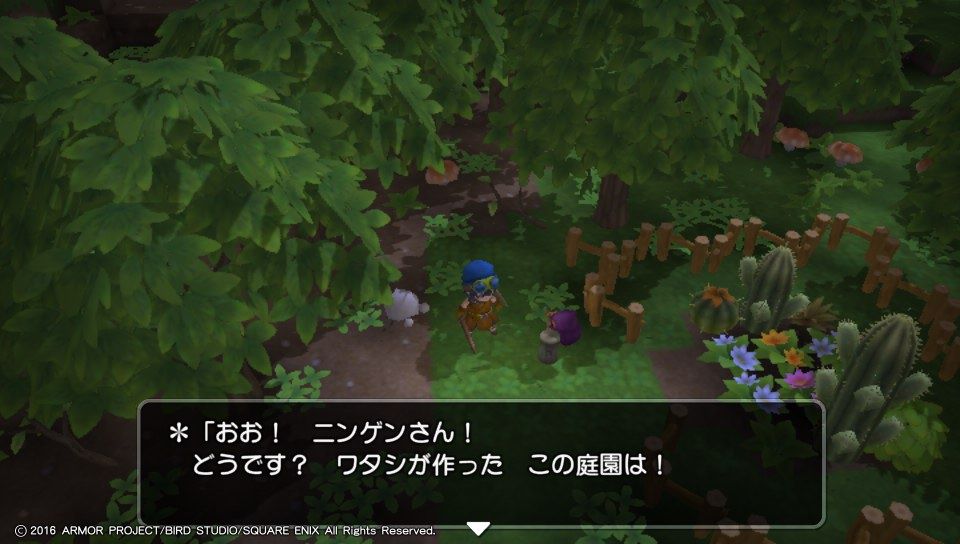 ドラゴンクエストビルダーズ Psvita プレイ日記 その5 もいくんのいろいろ日記