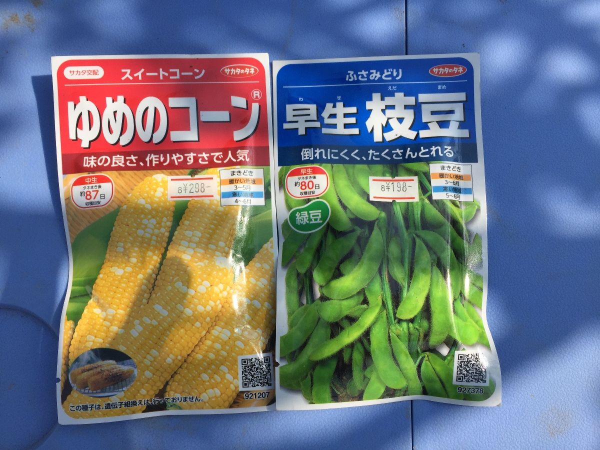 ガーデニング 枝豆の種まき もいくんのいろいろ日記
