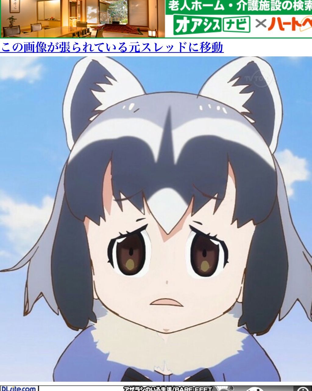 ここはアライさんの縄張りなのだ はらぺこさかな ここはアライさんの縄張りなのだ はらぺこさかな