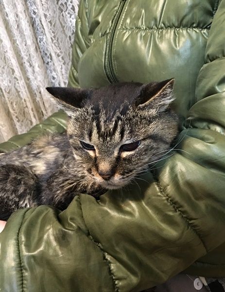 お姉に抱っこ