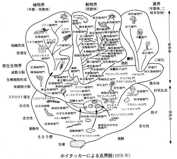 系統分類学 生物静学 数理生態学 公式 学 名コレクション