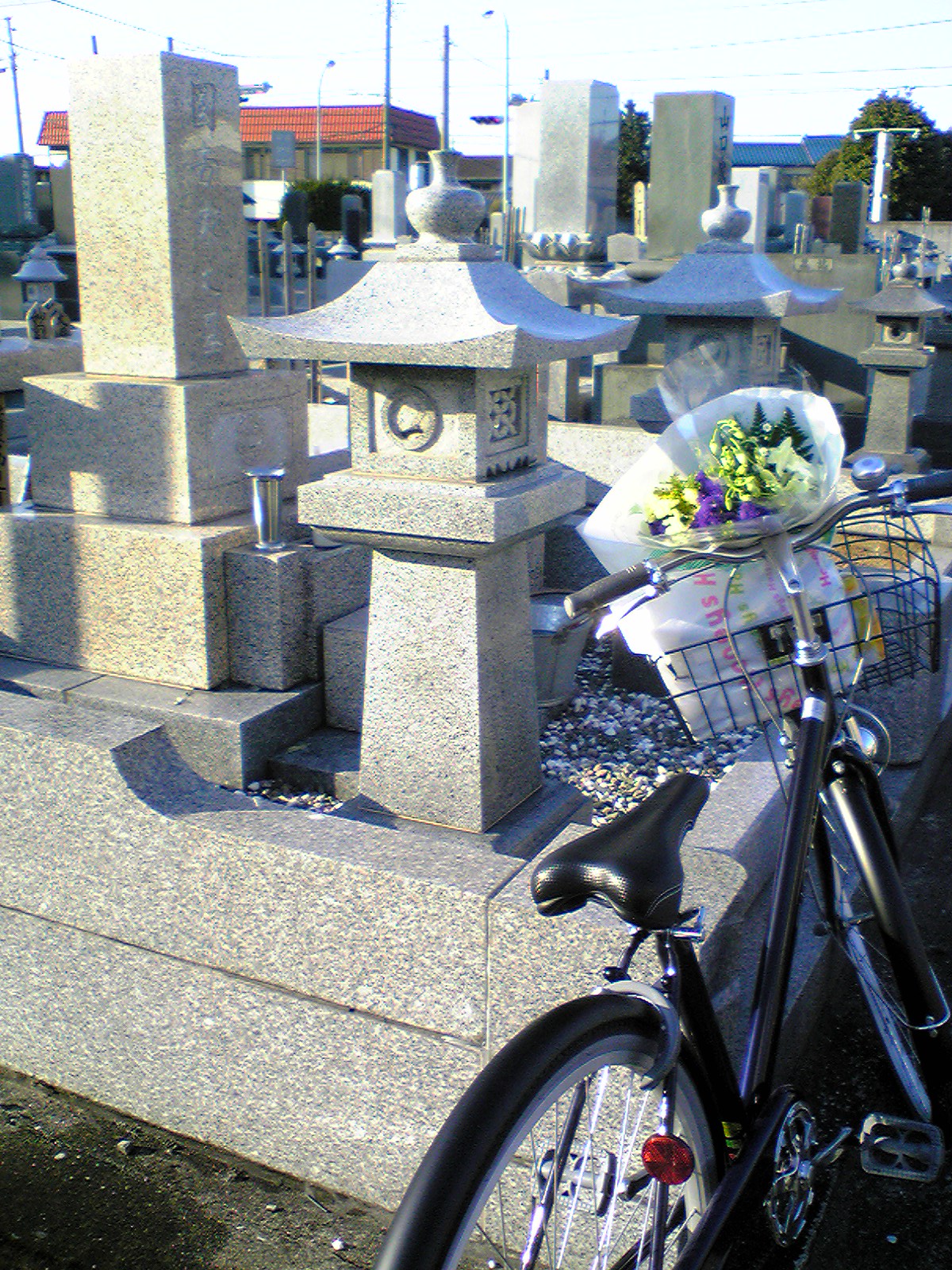 自転車暴走族 文字屋の落書き帳 文字書き職人masumi の 心で綴る日々の書エッセイ 自転車暴走族 文字屋の落書き帳 文字書き職人masumi の 心で綴る日々の書エッセイ