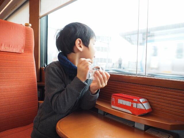 train_odakyu_vse_02