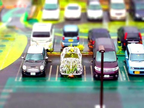 photo_plants_cars