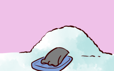 2018-12-21-4