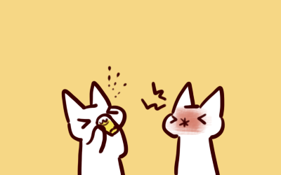 11-8-6