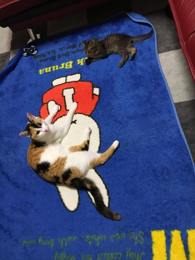 no title