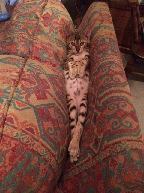 no title
