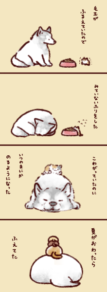 2019-11-25-5