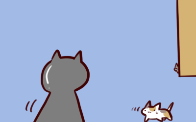 2016-12-21-2