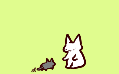 11-19-3