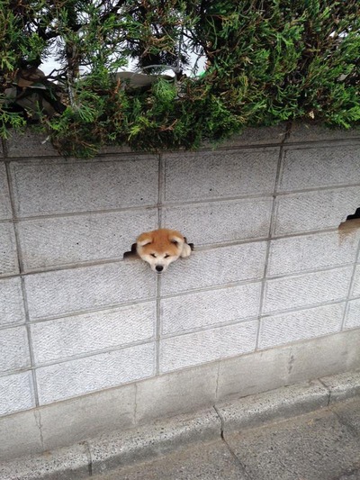 no title