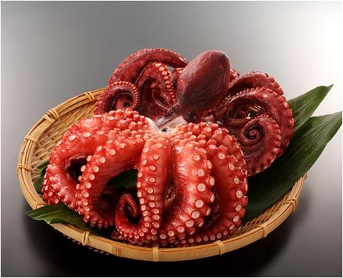 takobig