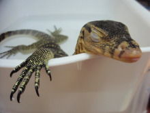 t02200165_0640048010270801244