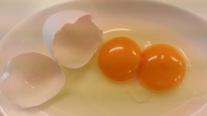 ふたごのたまご