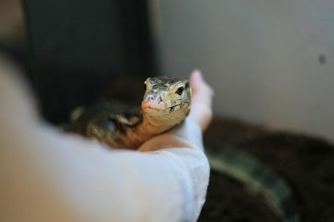 2fb54e8b157e838b1de6239c3ec736f1