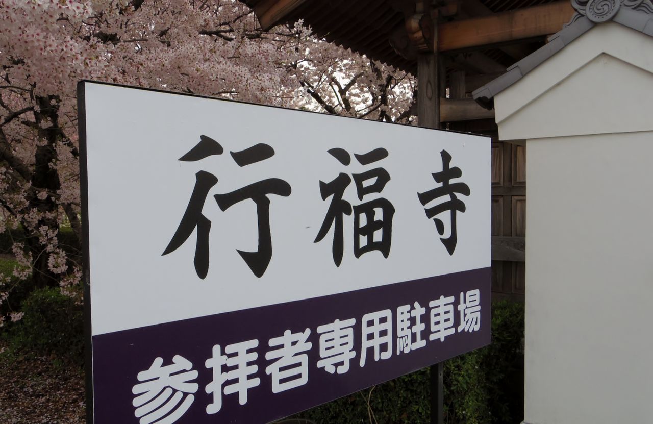 桜 15 花見 愛知県豊田市 行福寺 15 4 4 ガンダムガンプラフォト日記s Gundam Gunpla Photodiary S