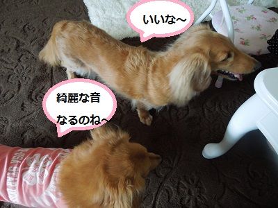 ５