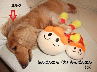 １
