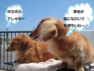 １