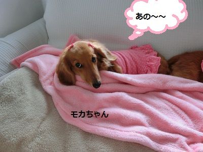１