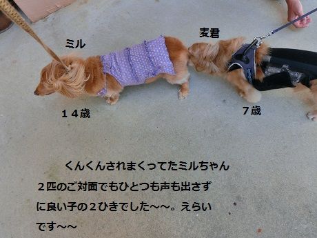 １４