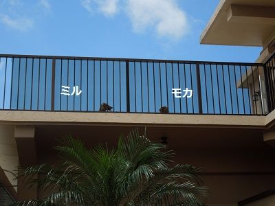 ３