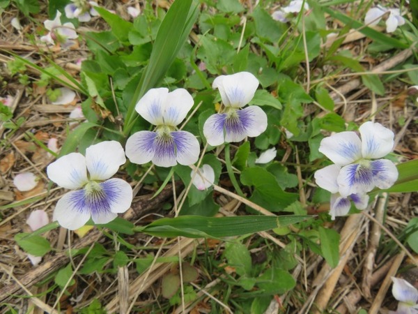 68