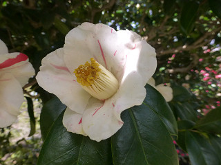 １１３，３２０