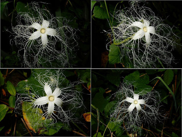 １３４れんけつ