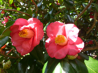 １０９，３２０