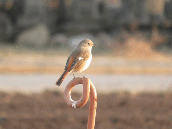 i57N7F7UJ425GU3DlRxU1676023160-1676023192