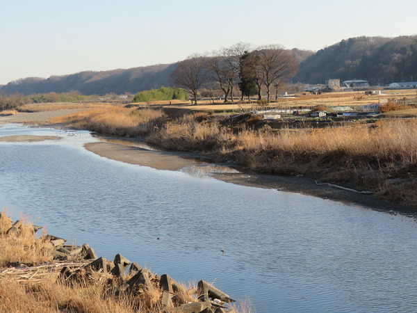 53川鵜