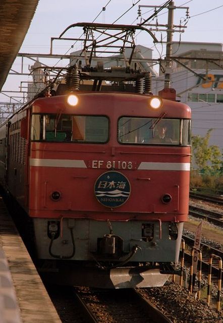 ef81