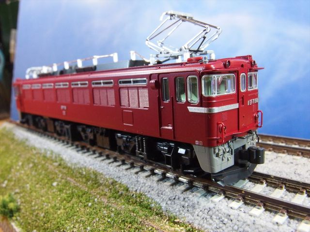 OLY56916_R.jpg