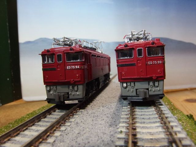 OLY57096_R.jpg