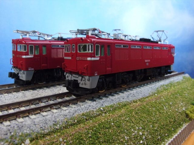OLY54838_R.jpg