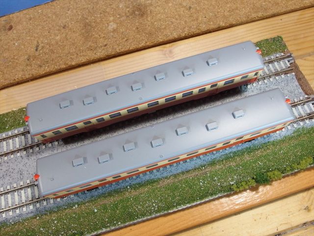 OLY16090_R.jpg