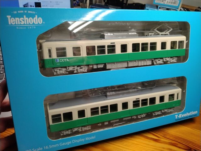 天賞堂 T-Evolution 高松琴平電鉄 1300形 2両セット : クローゼットの