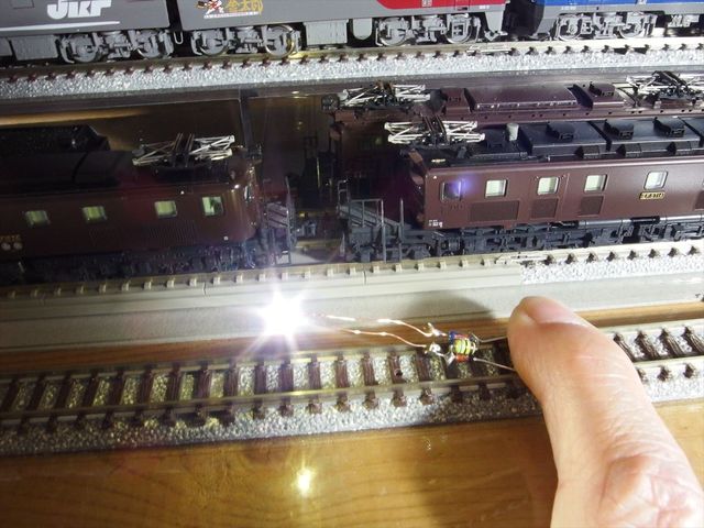 OLY94495_R.jpg