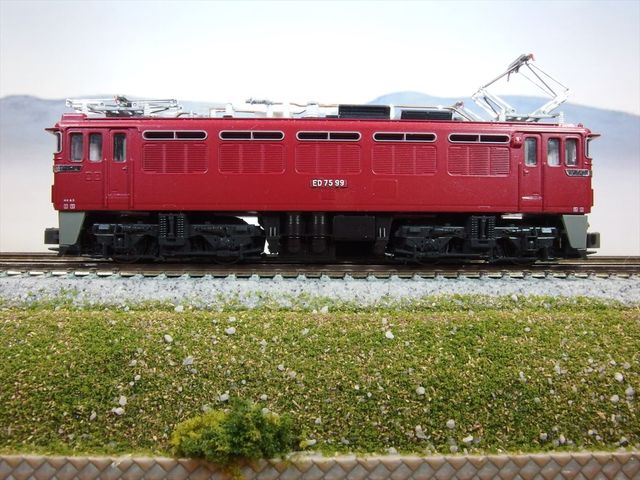 OLY57098_R.jpg